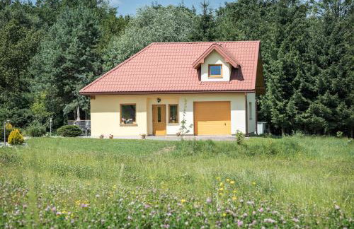 Korzenny Domek - Foto 28