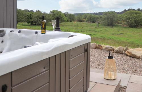 Pine Marten - Foto 37