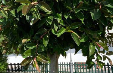 Sea Escape - Photo 27