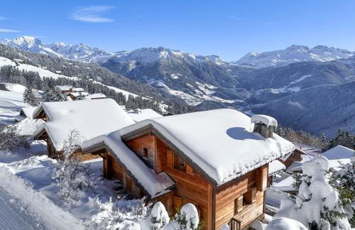 Chalet spacieux à Bisanne 1500 avec WIFI et vue spectaculaire - FR-1-809-34 - Foto 16