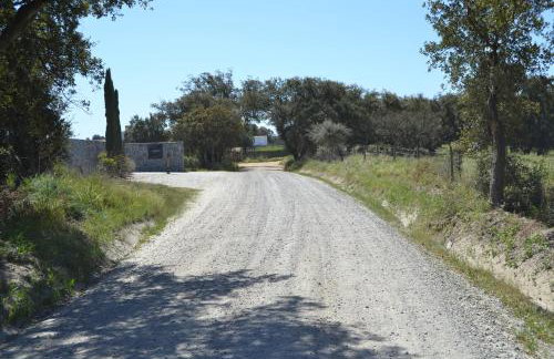 Fazenda do Medronhal - Photo 21
