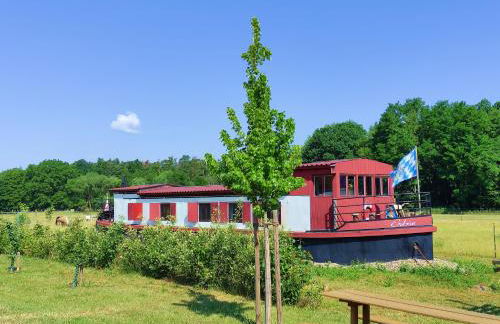 Filmschiff ERBSE - Foto 17