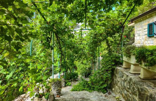 Villa Tiho - Foto 75