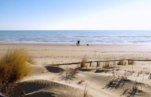 Ca' Savio terramare - Foto 41