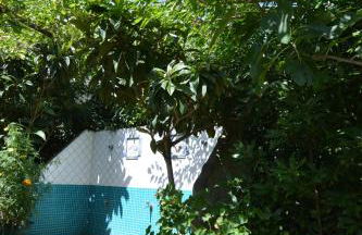 Residence L'Ulivo - Foto 18