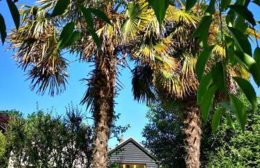 The Bird House at Woodburn Cottage - Foto 8