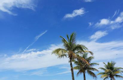 Bitenca pé na areia - Foto 19