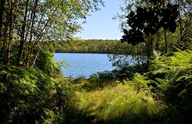 Treeloft Adventure in Nature for 4 People 17 - Photo 8