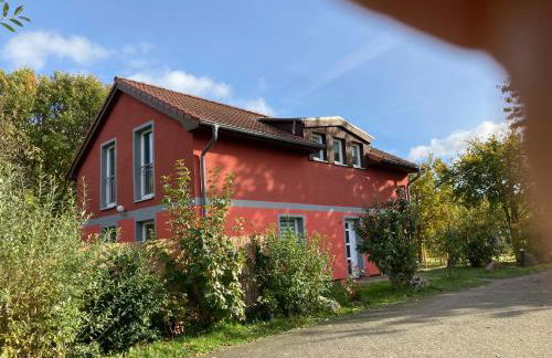 Urlaubsoase Ostsee - Foto 5