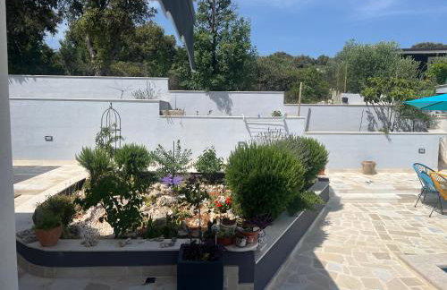 Panorama Sevid - Foto 57