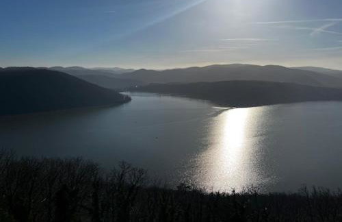 Bosnest Nr 176 - Photo 21