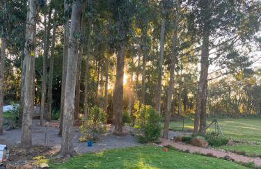 Casa Serra Gaúcha Nova Petrópolis 30 min Gramado - Foto 36