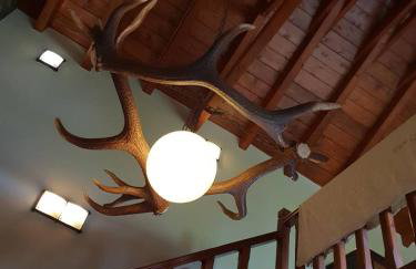 Pallas Casa - Photo 19