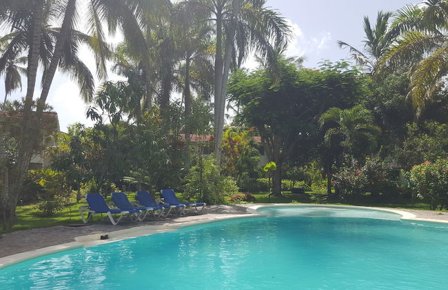 Oasis Hotel Las Terrenas - Foto 21