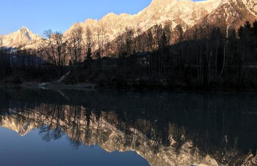 Petite Floria - Foto 17