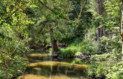 Kaisermantel - Foto 34