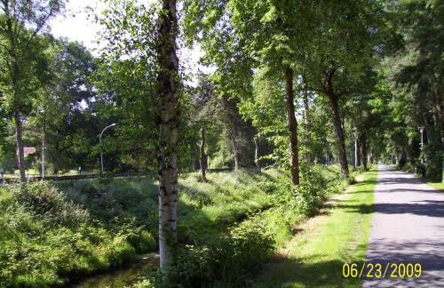 Fewo Worpswede - Foto 31