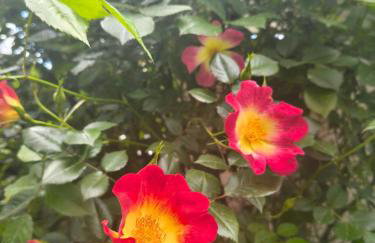 The elegant urban apartment - Photo 73