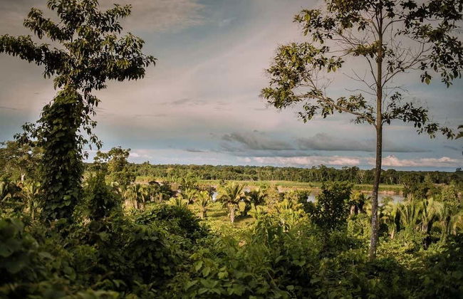 Excursion à la rivière bouillante de Mayantuyacu - Photo 5