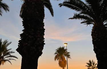 "Les Palmiers" Studio spacieux vue mer Terrasse & Parking - Foto 19