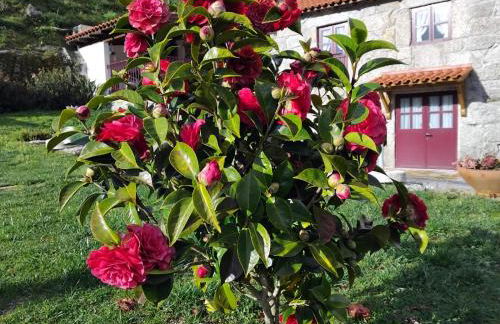 Quinta das Netas - Foto 18