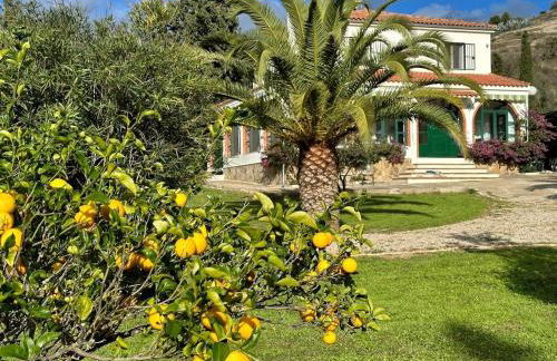 Casita Cacahuete - Foto 21