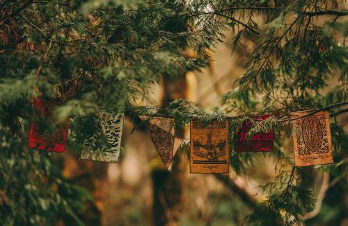 Orchard House! Recharge at Peaceful Nature Escape - Foto 24