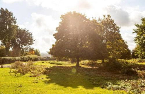 The Piggery - Foto 20