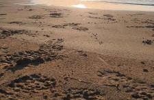 Appartement Guardamar Del Segura - Foto 27