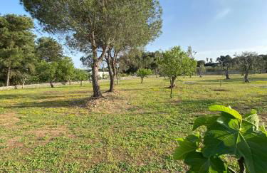 Uliveto Sant' Isidoro - Foto 45