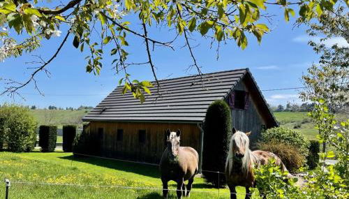 Le loti des Arnats - Foto 3