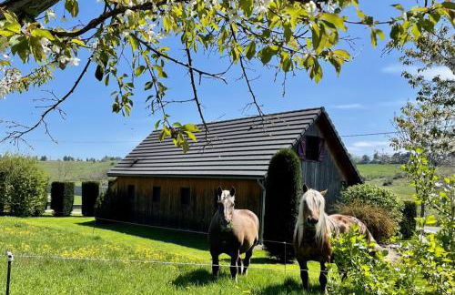 Le loti des Arnats - Foto 3