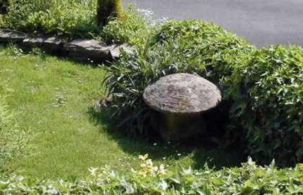 Steppes Farm Cottages - Foto 44