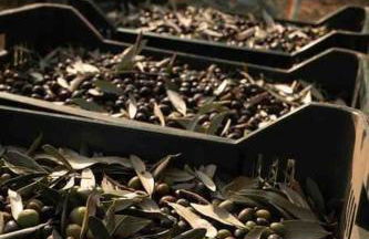 Peaceful Luxury Farmhouse - Stunning Alps Views - Foto 4