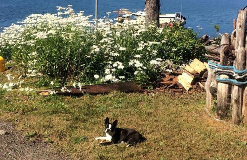 Wilderness Cabin Getaway with Breathtaking Views in Klawock on Prince of Wales Island in Alaska - Foto 9