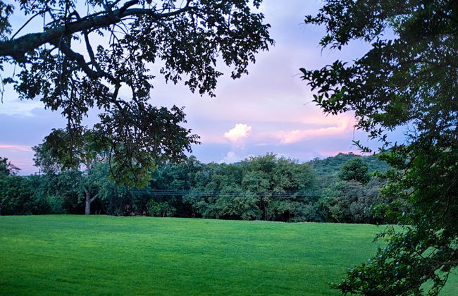 Near2Numbi - Foto 60