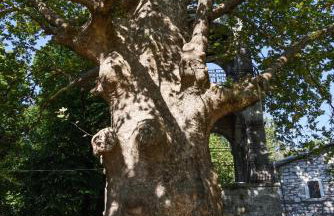 Kissos Experience - Foto 65