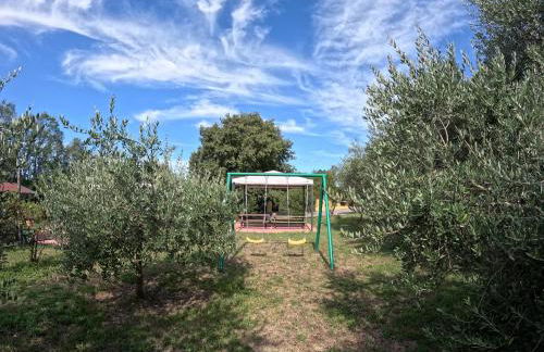 Agriturismo Gardenali - Foto 51