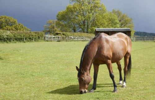 Downclose Piggeries - Photo 29