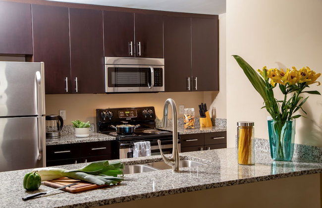 Shorecrest Miami Bay - Photo 7