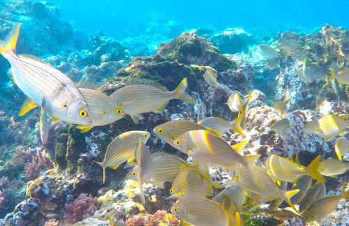 Apartamento Romantico - Foto 14