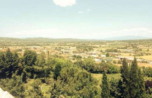 Tre Girasoli - Foto 18