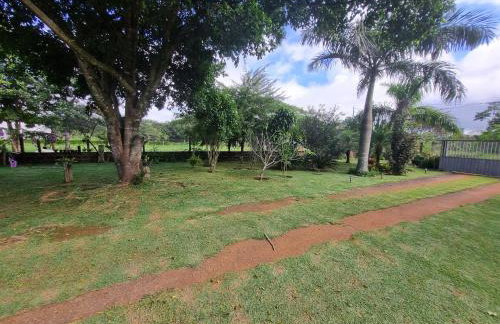 Chácara Cantinho dos Sonhos - Foto 77