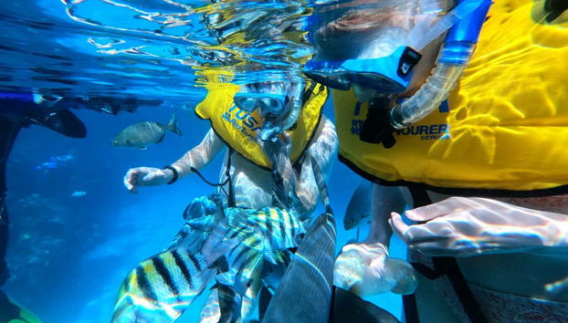 O passeio inclui máscara e todo o equipamento necessário