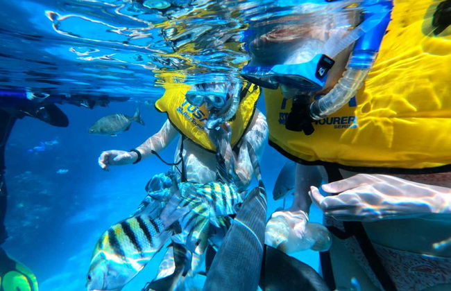 Snorkelling at Coral Beach + Saturn Cave - Foto 2