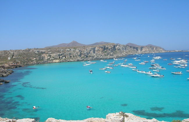 Room in House - Magical Holidays in a Dammuso in Favignana Nestled in a Wonderful Pine Forest - Photo 1