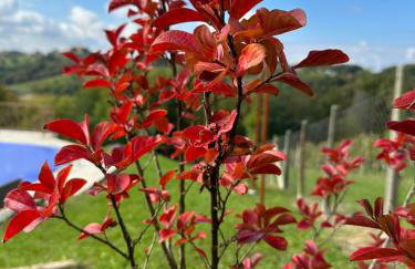 Villa Međimurka - Foto 19