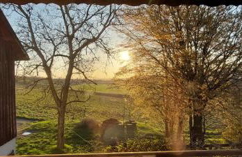 Weingut Will und Würz Lemberger - Foto 11