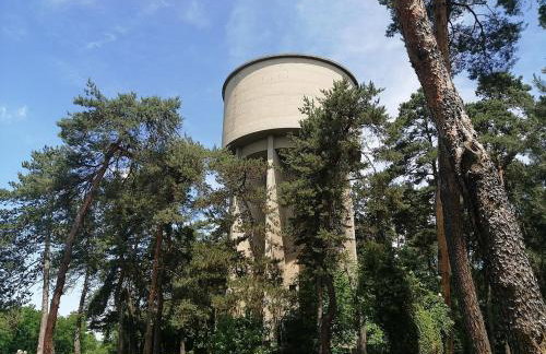 Apartman Borik - Foto 26