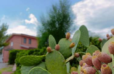 Agriturismo - "La Funicolare" - Photo 7